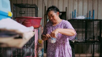 Why Animal Shelters Are More Important Than Ever in 2026