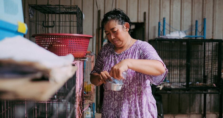 Why Animal Shelters Are More Important Than Ever in 2026