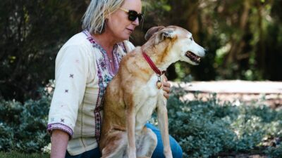 How to Choose the Right Pet for Your Lifestyle in 2026