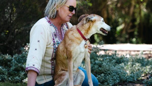 How to Choose the Right Pet for Your Lifestyle in 2026