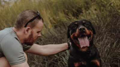 15 Best Dog Breeds for First-Time Owners in 2026