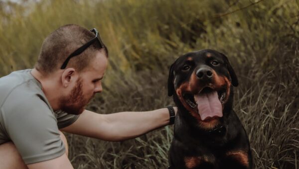 15 Best Dog Breeds for First-Time Owners in 2026