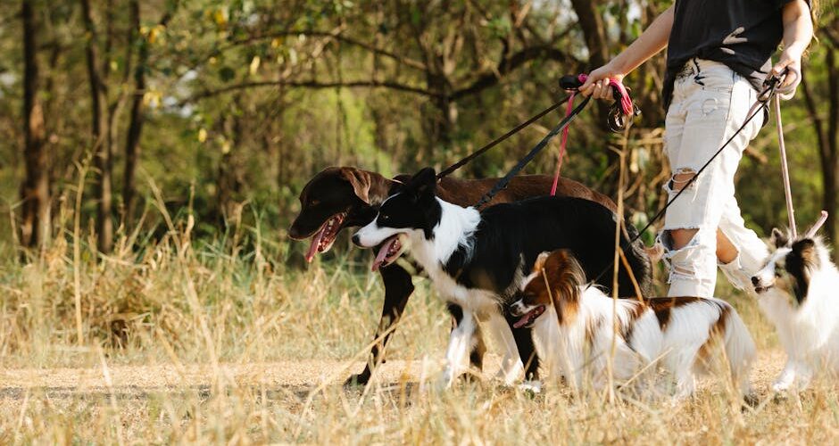 How to Manage Multiple Pets at Home: A 2026 Guide