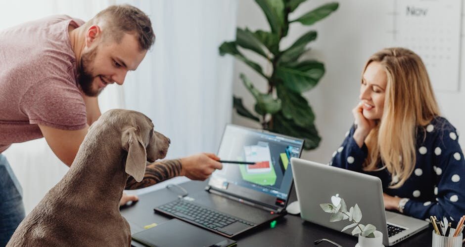 Why Pet-Friendly Workplaces Are Taking Over in 2026