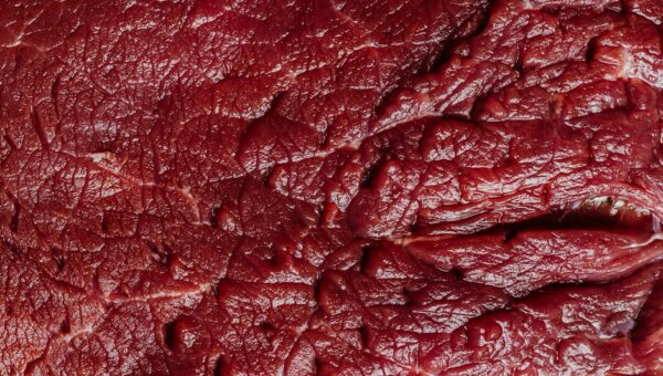 The Pros and Cons of Raw Diets for Pets