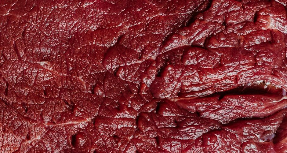 The Pros and Cons of Raw Diets for Pets
