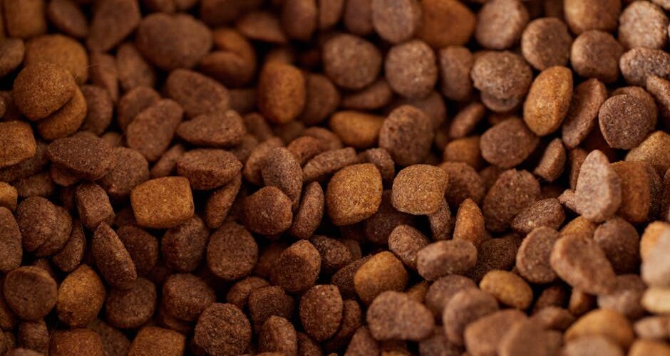 A Complete Guide to Pet Nutrition in 2026