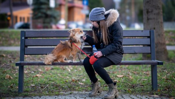 The Rise of Pet-Friendly Communities: Trends for 2027