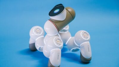 The Future of Pet Care: Trends to Watch in 2026