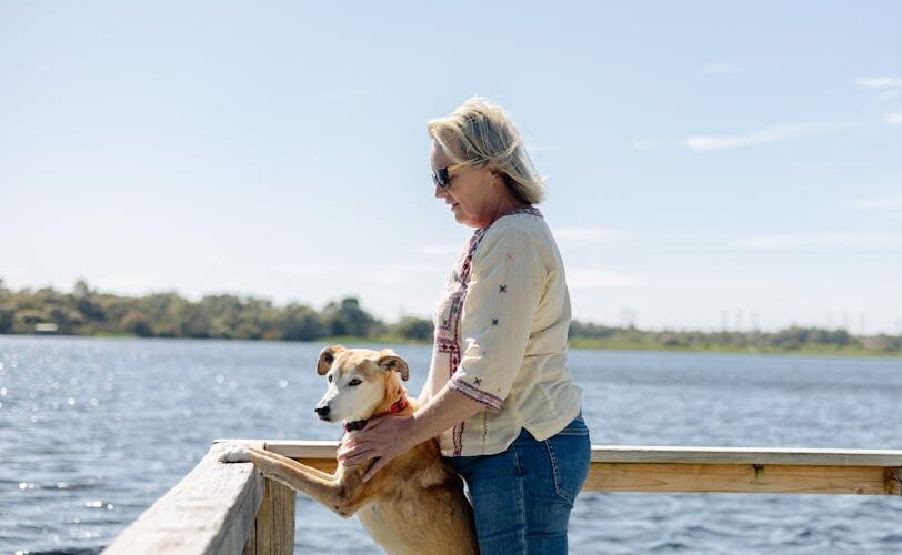 The Future of Pet Travel: Navigating 2026 with Your Furry Companion