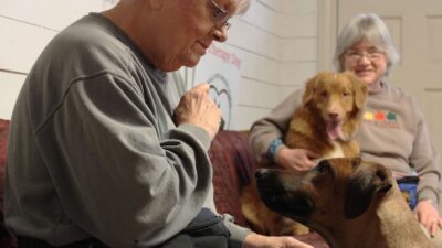 The Unseen Heroes: Therapy Animals Transforming Lives in 2026