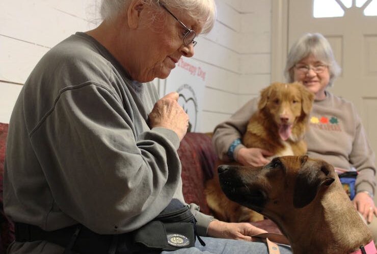 The Unseen Heroes: Therapy Animals Transforming Lives in 2026
