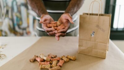 The Bark of the Future: A Guide to Sustainable Pet Ownership in 2026