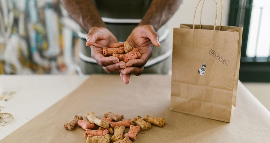 The Bark of the Future: A Guide to Sustainable Pet Ownership in 2026
