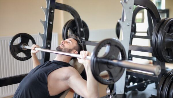 Feline Fitness in 2026: Keeping Your Cat Active and Healthy