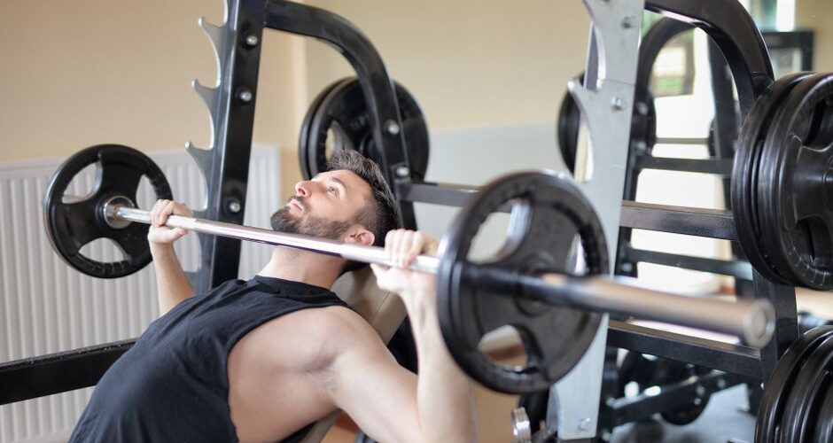 Feline Fitness in 2026: Keeping Your Cat Active and Healthy