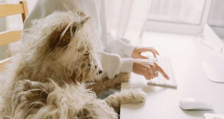 Paw-ternity Leave: Embracing Furry Family Additions in 2026