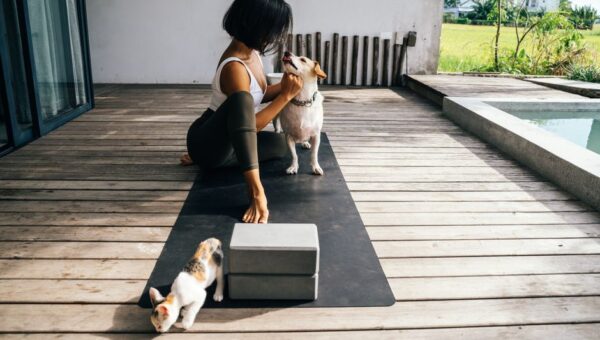 Pet Wellness Retreats: The Ultimate Getaway Experience for You and Your Furry Friend in 2026