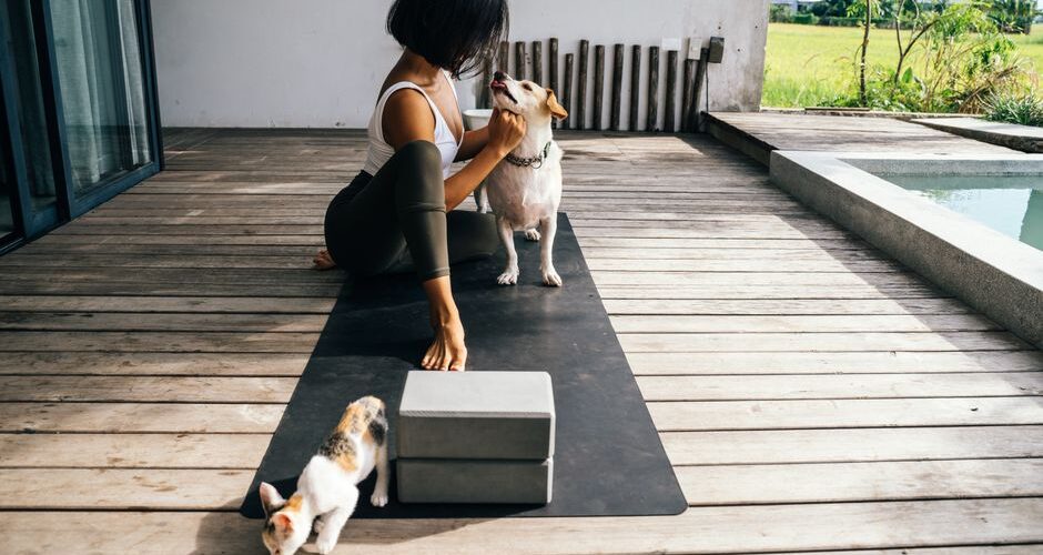 Pet Wellness Retreats: The Ultimate Getaway Experience for You and Your Furry Friend in 2026